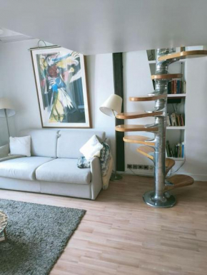 Paris centre grand duplex avec belle terrasse